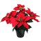 2-Pack 13" Red Velvet Poinsettia Bush in Black Pot with 5 Silk Flowers - Lifelike Holiday Decor for Tabletop & Mantel | Elegant Christmas Accent | Festive & Versatile Indoor Decoration - 2024 Christmas Collection, Floral Home by Artificial Flowers